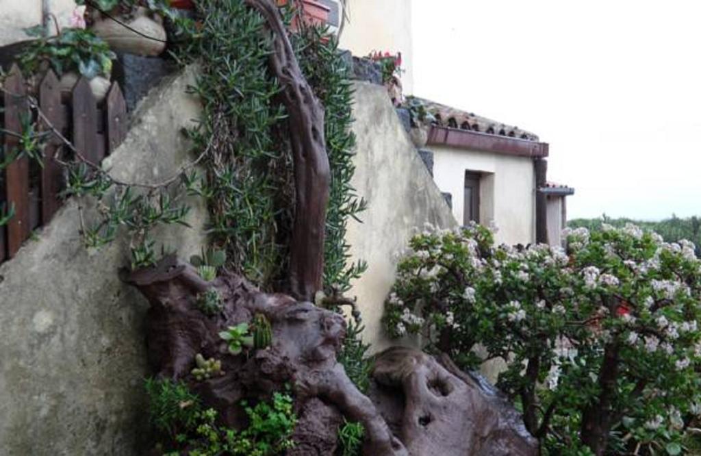 Agriturismo Ruvitello مستربيانكو الغرفة الصورة